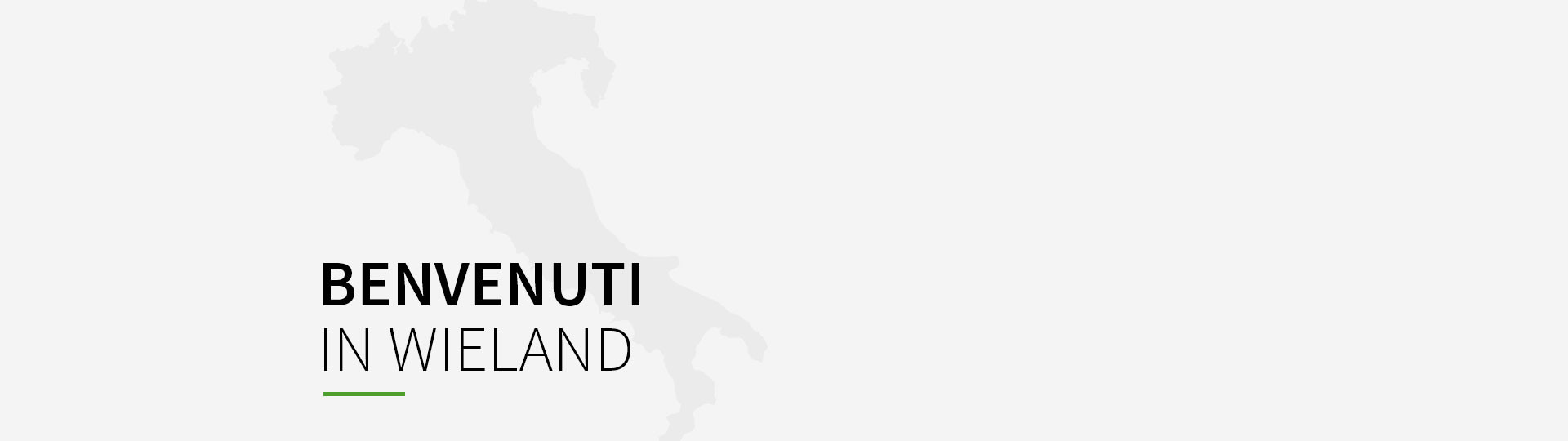 Wieland Electric Italia